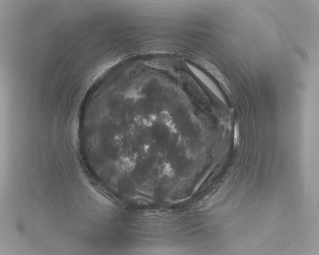 X0000115370627200911171415