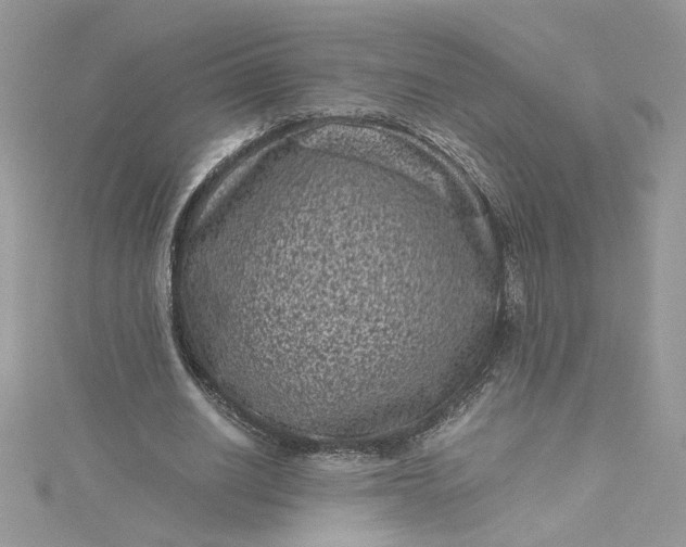 X0000115370630200911171415