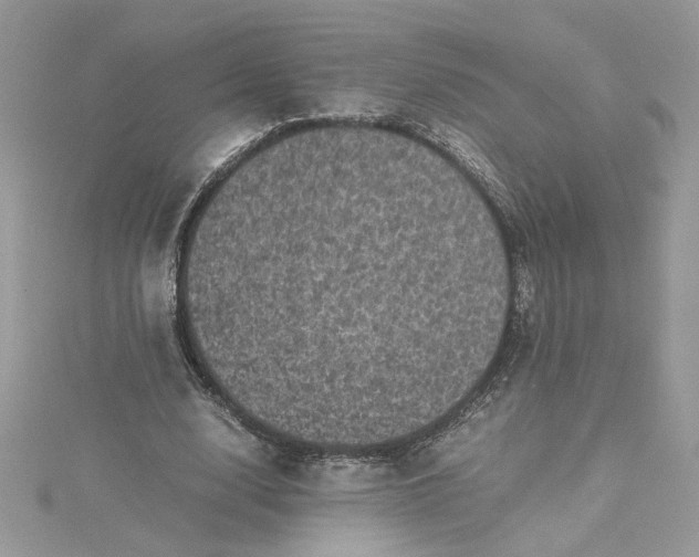 X0000115370632200911171415