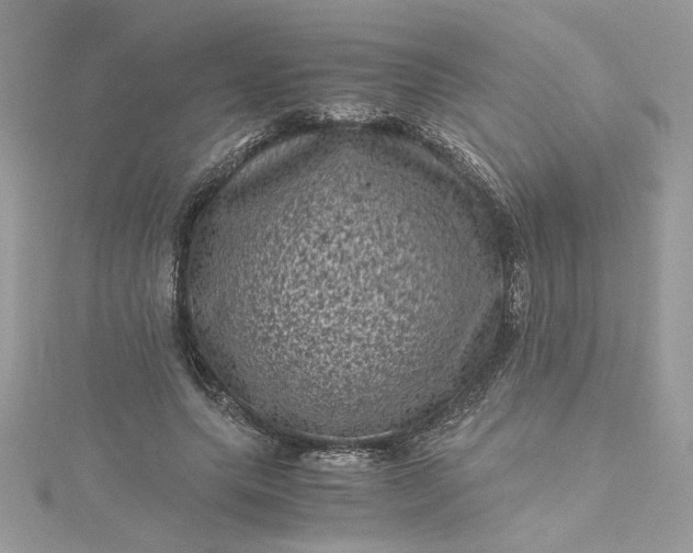 X0000115370639200911171415