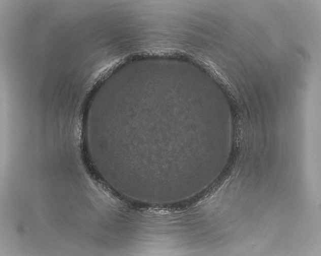 X0000115370640200911171415
