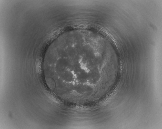 X0000115370641200911171415