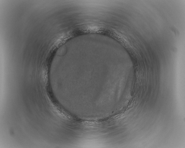X0000115370642200911171415