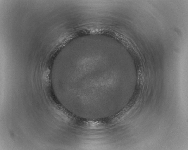 X0000115370650200911171415