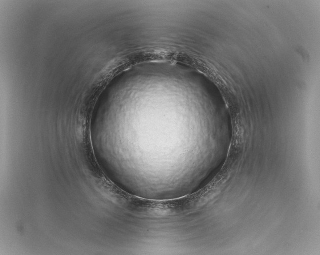 X0000115370656200911171415