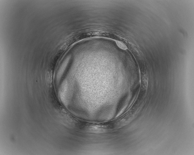 X0000115370657200911171415