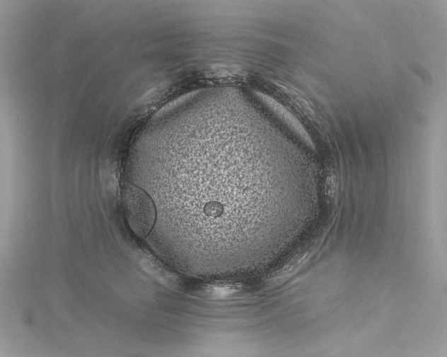 X0000115370662200911171415