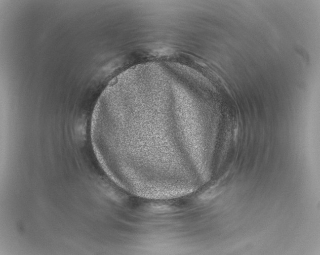 X0000115370668200911171415