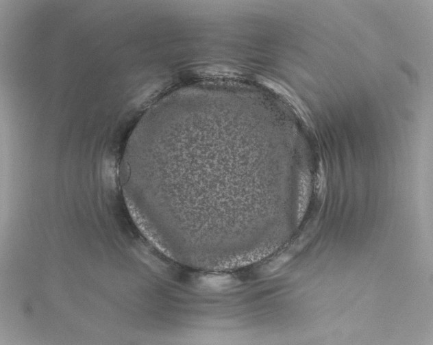 X0000115370669200911171415