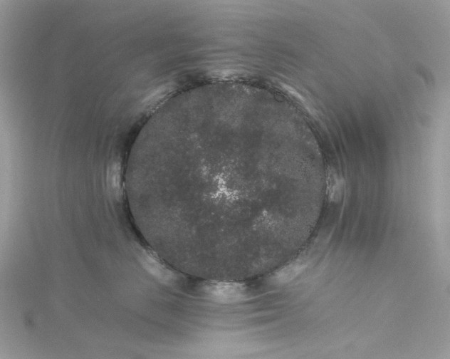 X0000115370670200911171415