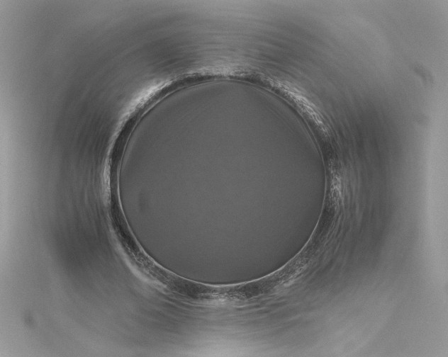 X0000115370678200911171415