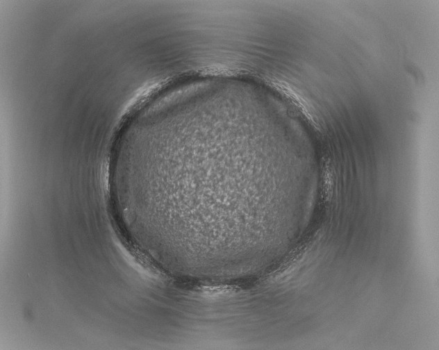 X0000115370686200911171415