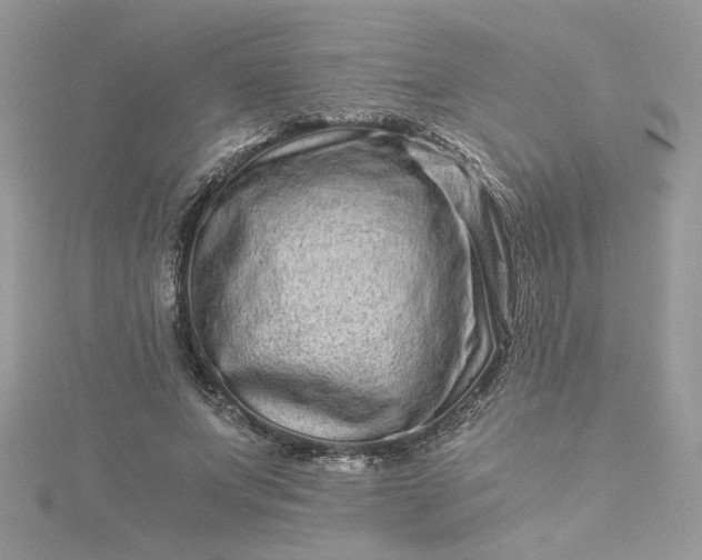 X0000115370687200911171415