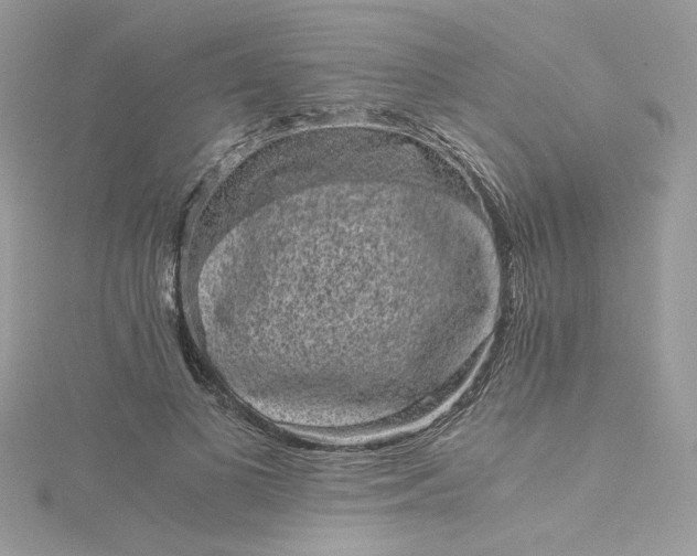 X0000115370693200911171415