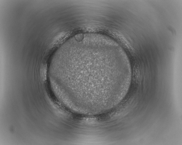 X0000115370694200911171414