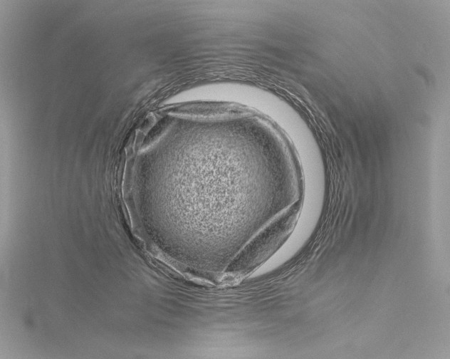X0000115370701200911171414