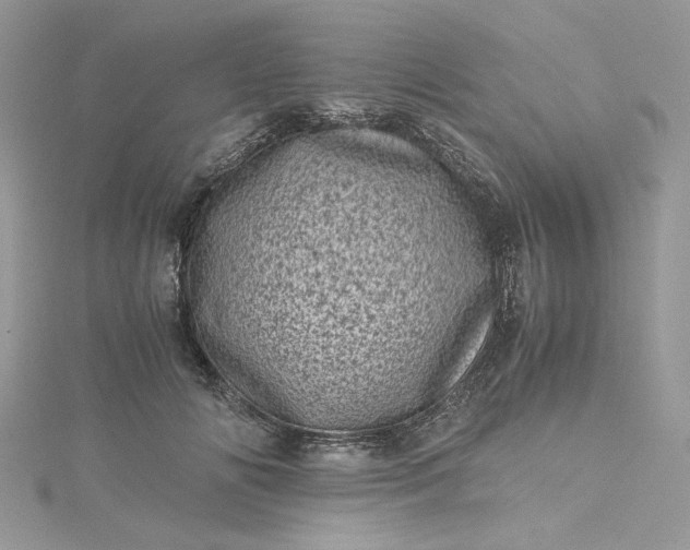 X0000115370702200911171414