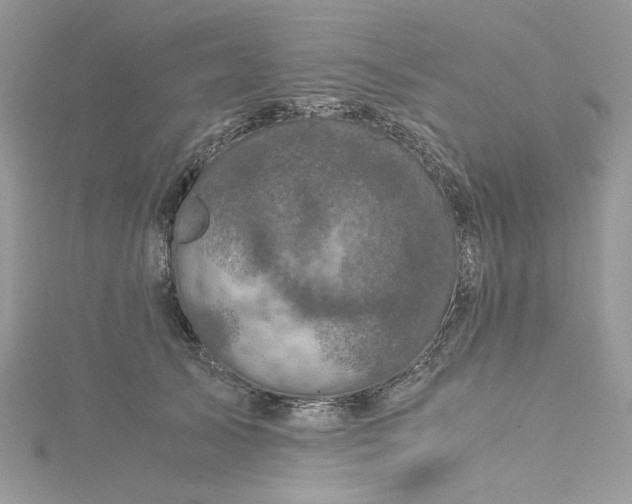 X0000115370705200911171414