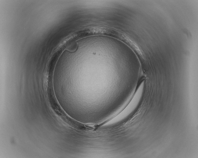 X0000115370722200911171413