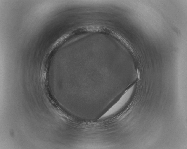 X0000115370723200911171413