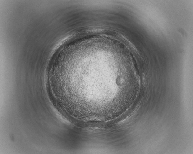 X0000115370725200911171413