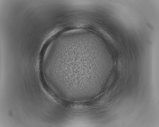 X0000115370730200911171413