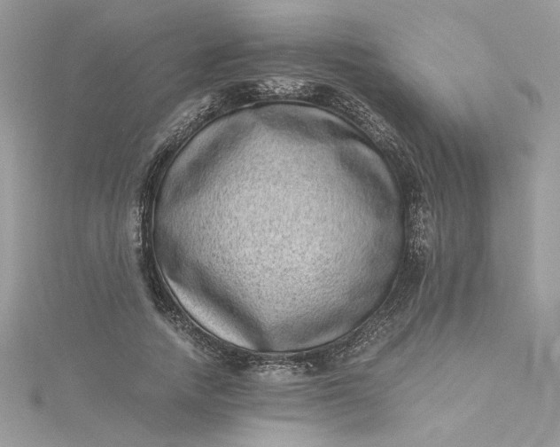 X0000115370738200911171414