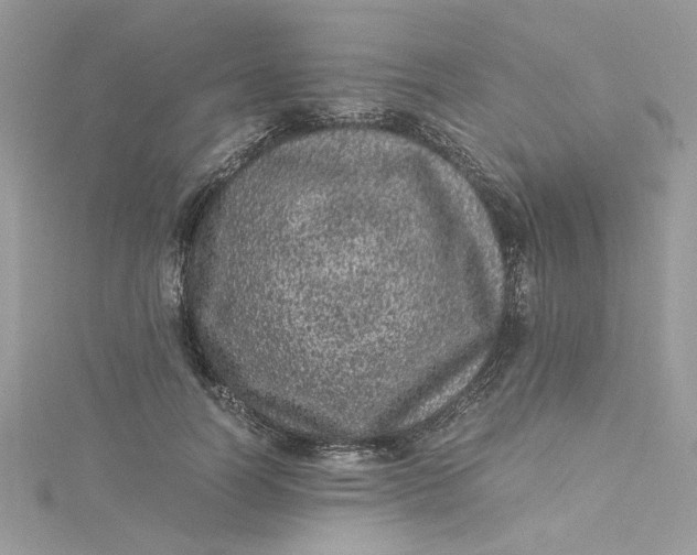 X0000115370746200911171414