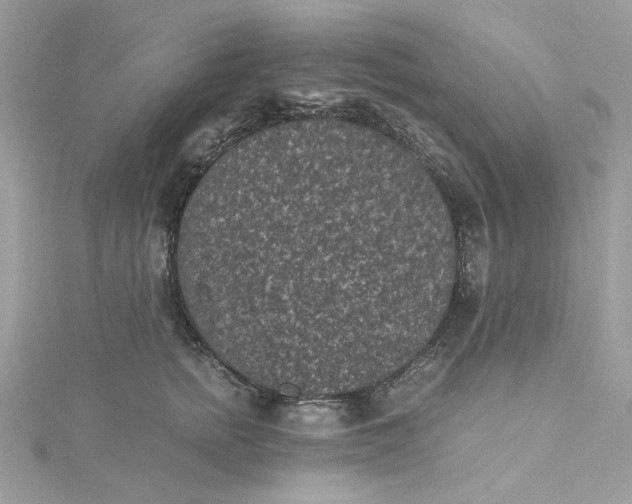 X0000115370758200911171414
