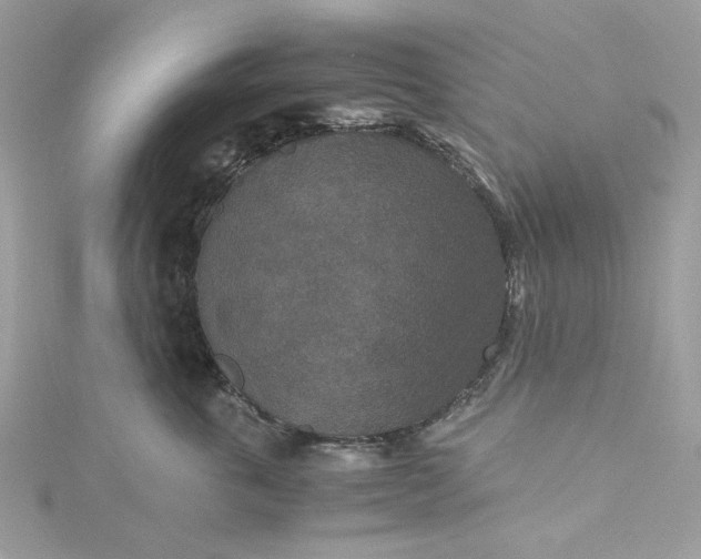 X0000115370763200911171414