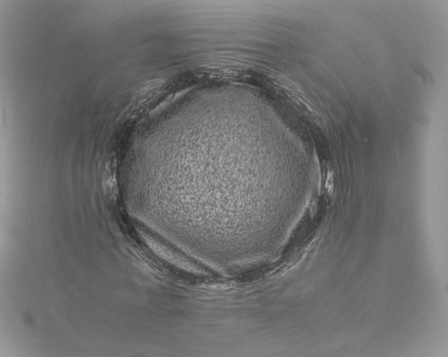 X0000115370771200911171413