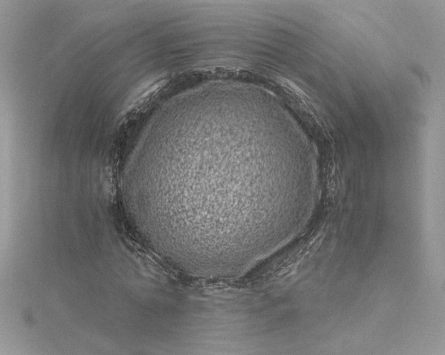 X0000115370774200911171413