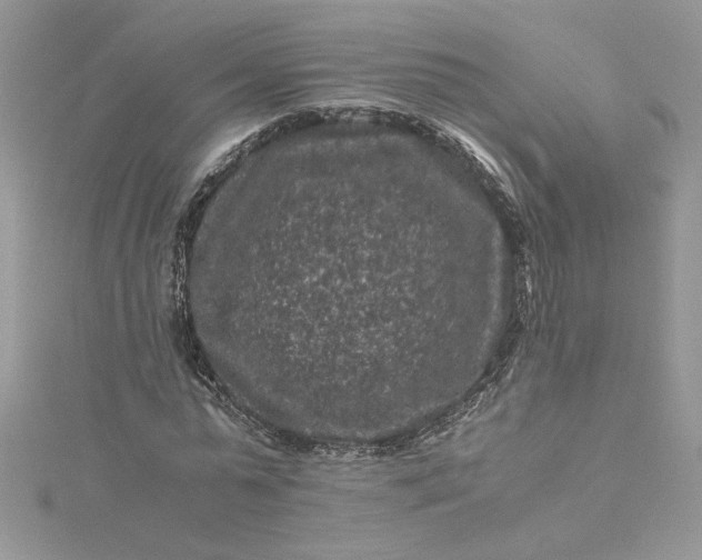 X0000115370775200911171413