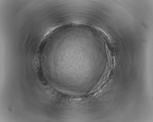 X0000115370776200911171413