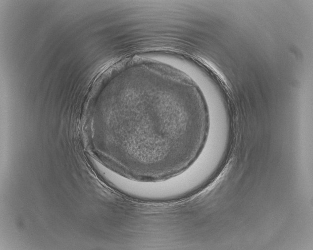 X0000115370777200911171413