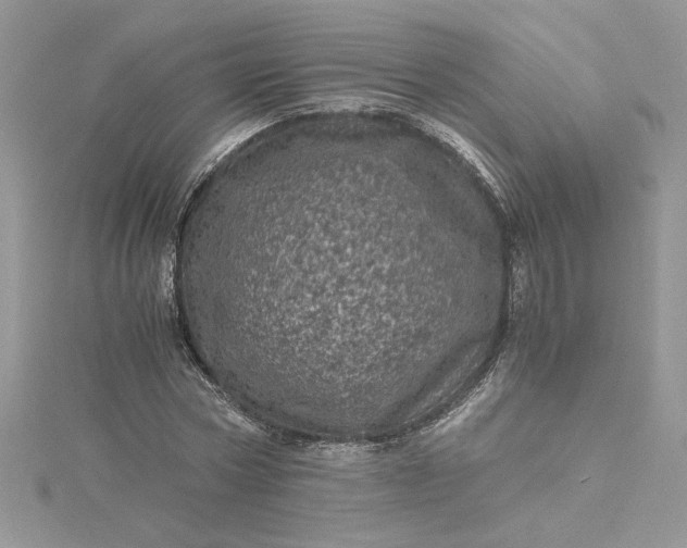 X0000115370778200911171413