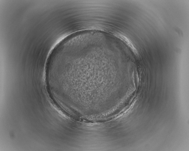X0000115370780200911171413