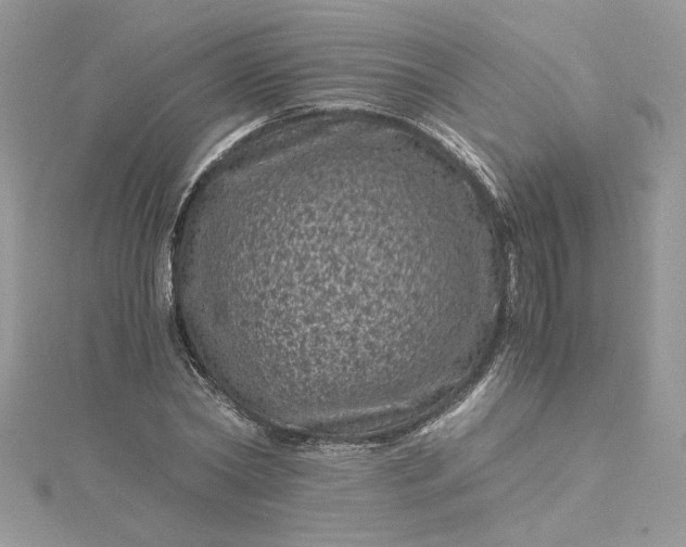 X0000115370782200911171413