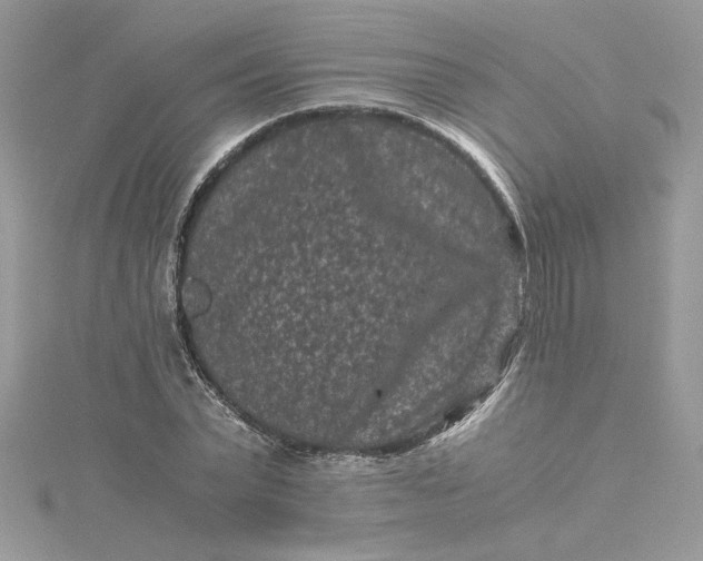 X0000115370783200911171413