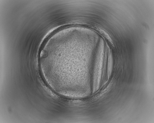 X0000115370784200911171413