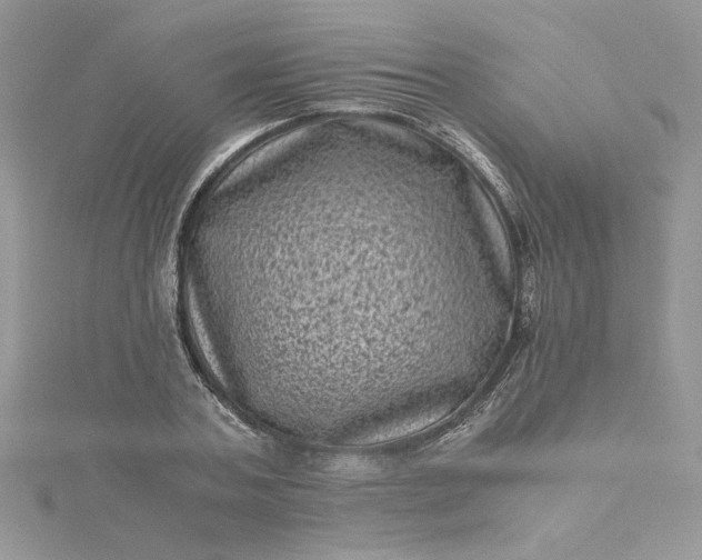 X0000115370787200911171413