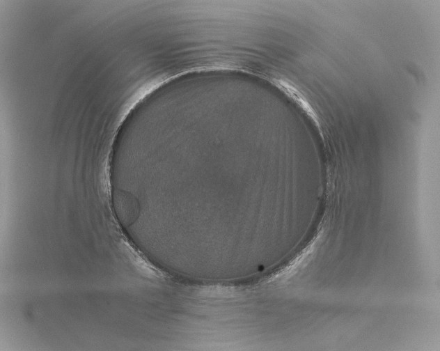 X0000115370789200911171413