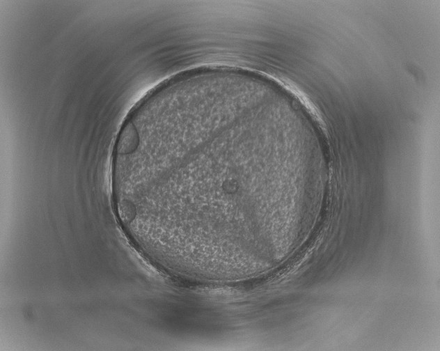 X0000115370791200911171413