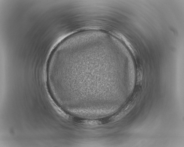 X0000115370795200911171413