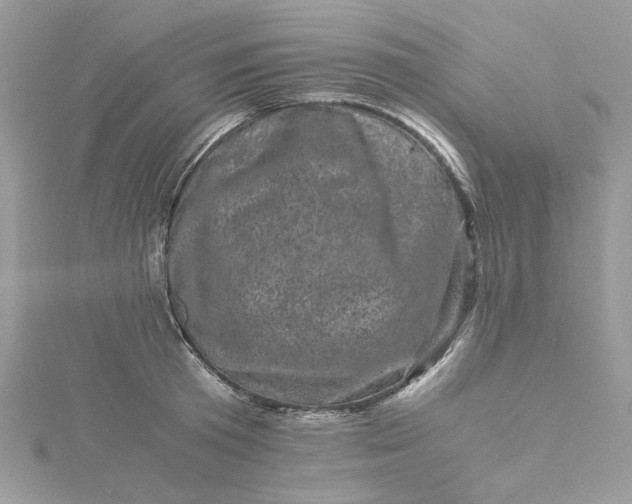 X0000115370801200911171413