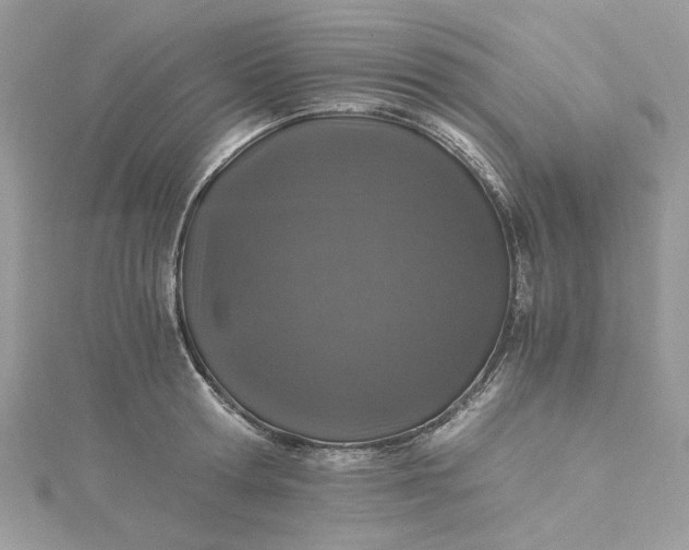 X0000115370802200911171413