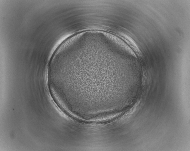 X0000115370804200911171413