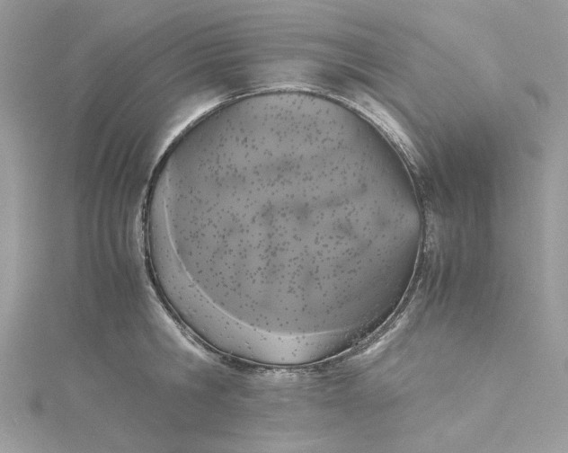 X0000115370806200911171413