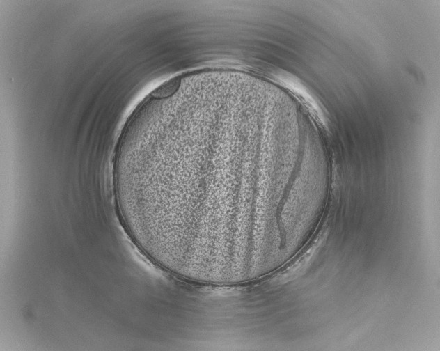 X0000115370808200911171413