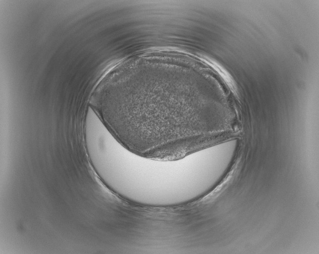 X0000115370809200911171413